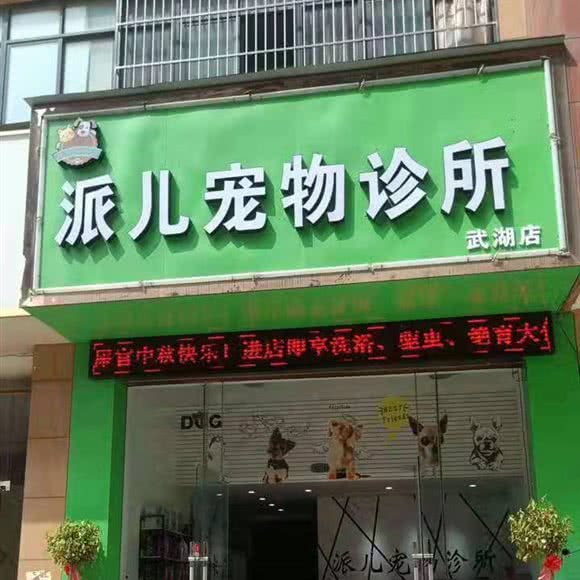 派儿宠物诊所(武湖店):武汉市黄陂区