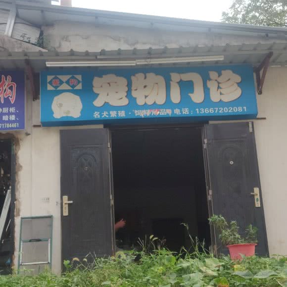 爱狗宠物门诊:武汉市黄陂区