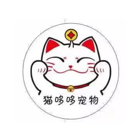 兔哆哆宠物:黄石市黄石港区