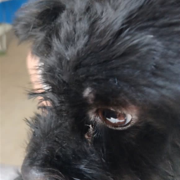 萌主宠物会所:黄石市西塞山区