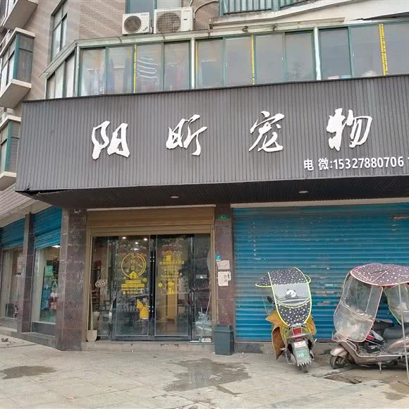 阳昕宠物:黄石市阳新县