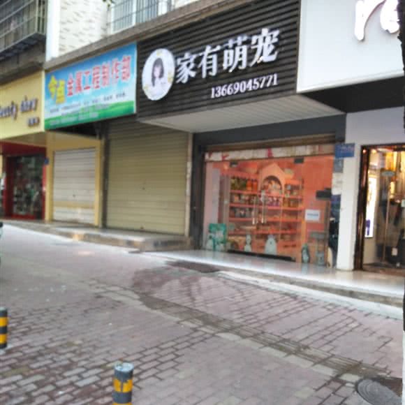 家有萌宠:黄石市大冶市