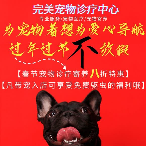 完美宠物诊疗中心:黄石市大冶市