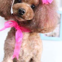 芳阳优宠:通辽市科尔沁区平安小区附近