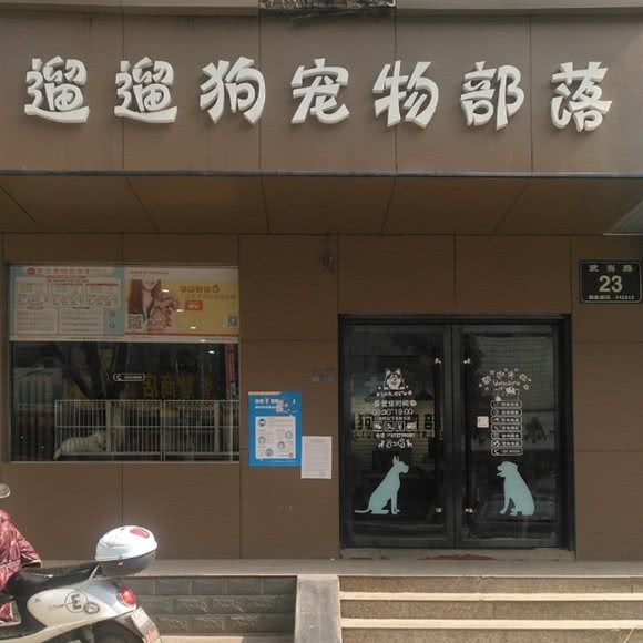 遛遛狗宠物部落:十堰市茅箭区