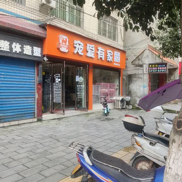 宠爱有家:十堰市郧西县