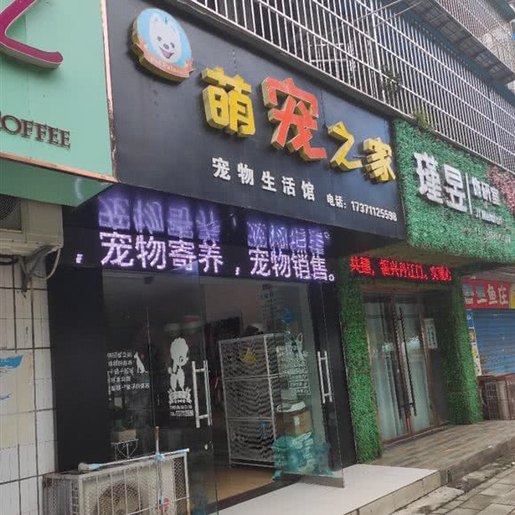 萌宠之家:十堰市丹江口市