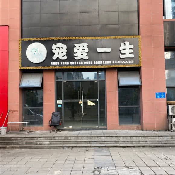 宠爱一生:宜昌市伍家岗区