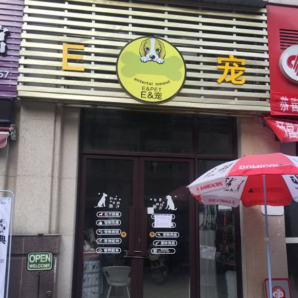 E&宠:宜昌市伍家岗区