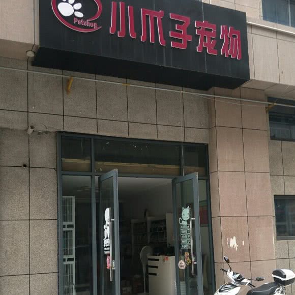 大瓜子宠物:宜昌市伍家岗区