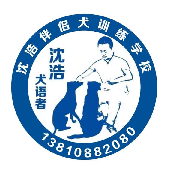沈浩伴侣犬训练学校:宜昌市伍家岗区