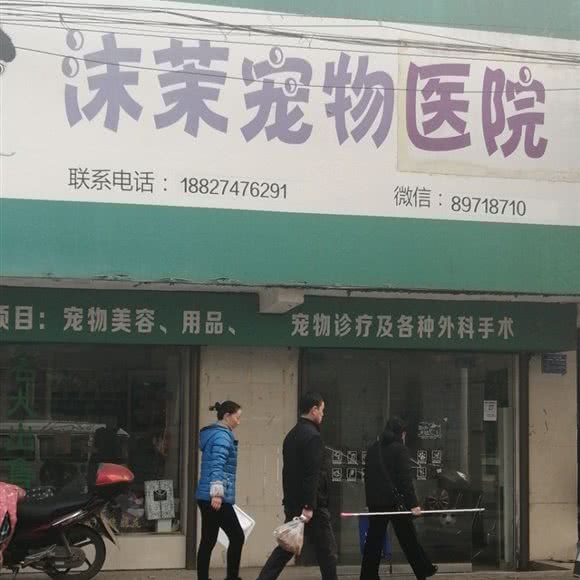 沫茉宠物医院:宜昌市宜都市