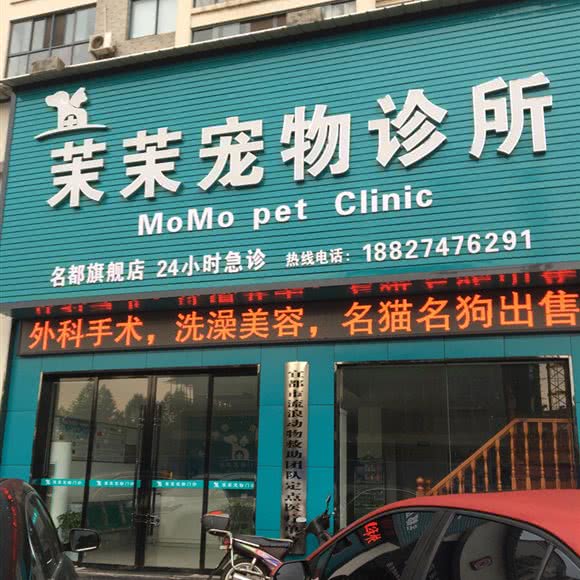 茉茉宠物狗诊所:宜昌市宜都市