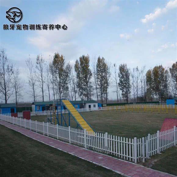 狼牙宠物训练寄养中心:襄阳市襄城区
