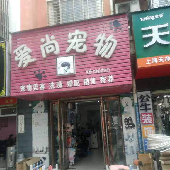 爱尚宠物:襄阳市南漳县