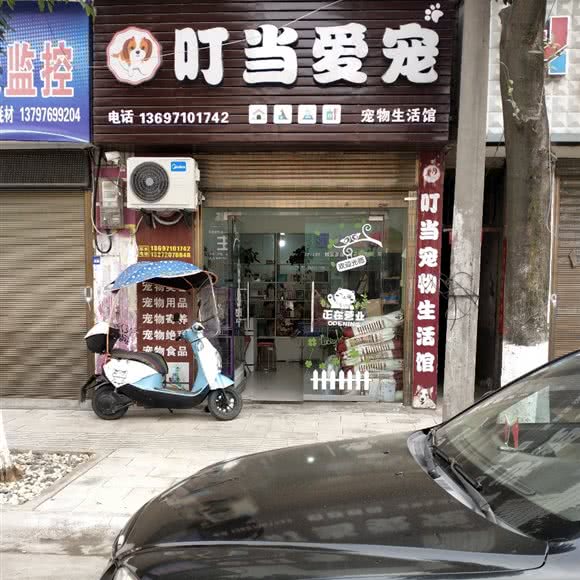叮当爱宠:襄阳市谷城县
