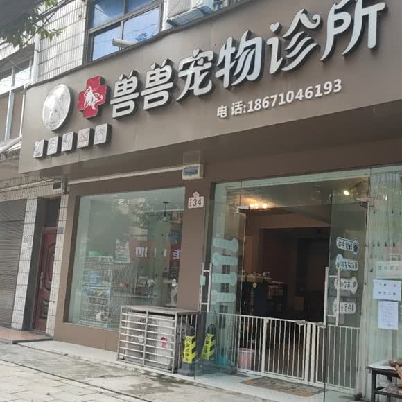 兽兽宠物诊所:襄阳市谷城县