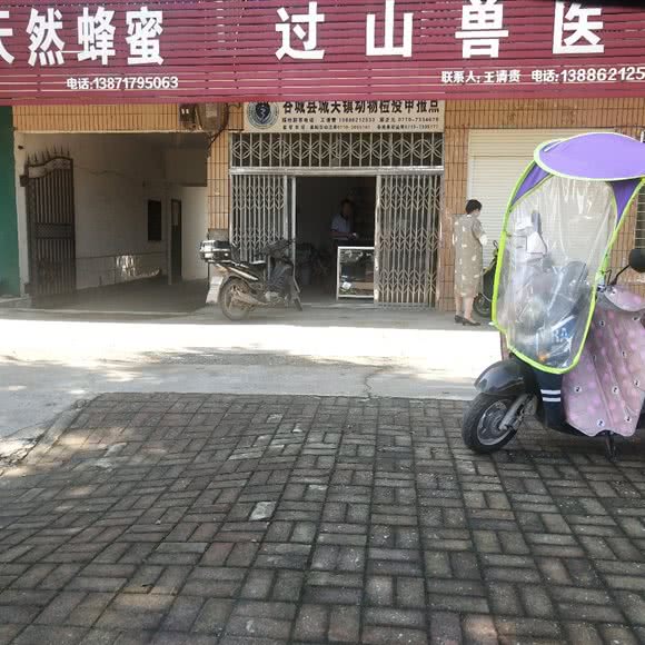 过山兽医站:襄阳市谷城县