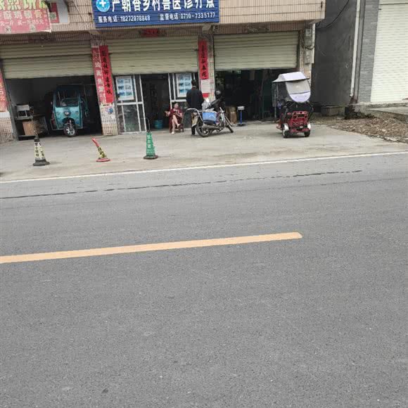 严朝香乡村兽医诊疗点:襄阳市谷城县