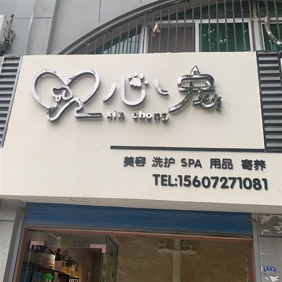 心宠:襄阳市老河口市