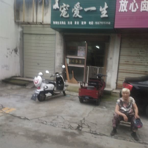 宠爱一生:襄阳市枣阳市