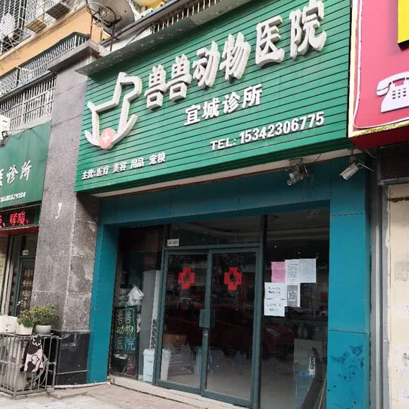 兽兽动物医院宜城诊所:襄阳市宜城市