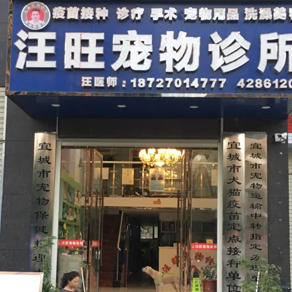 汪旺宠物诊所:襄阳市宜城市