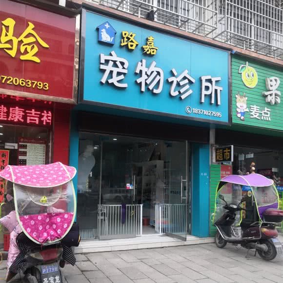 路嘉宠物诊所:襄阳市宜城市