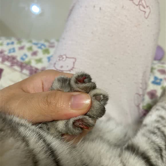 乐宠时光宠物生活馆:荆门市东宝区