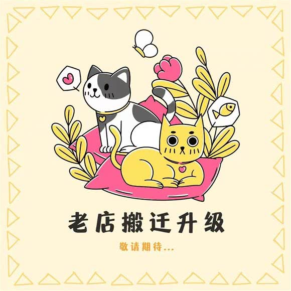 邂逅猫咖:荆门市东宝区