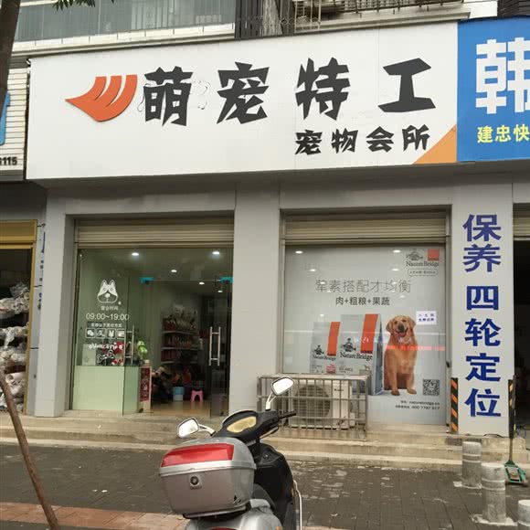 萌宠特工宠物会所:荆门市钟祥市
