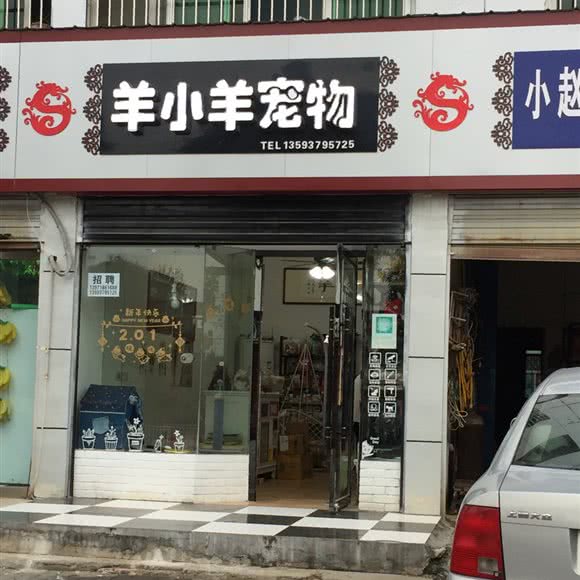 羊小羊宠物:荆门市钟祥市