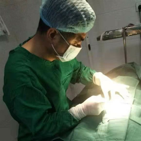 宝贝宠物医院美容中心:荆门市钟祥市