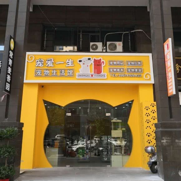 宠爱一生宠物生活馆:孝感市孝南区