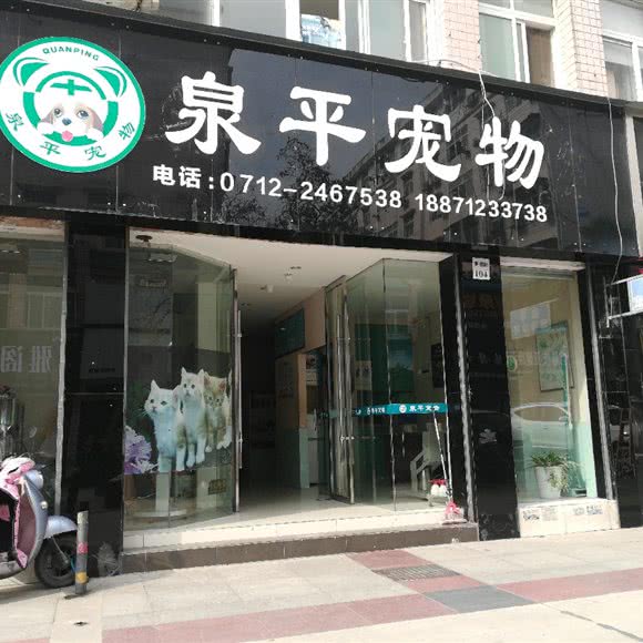 泉平宠物:孝感市孝南区