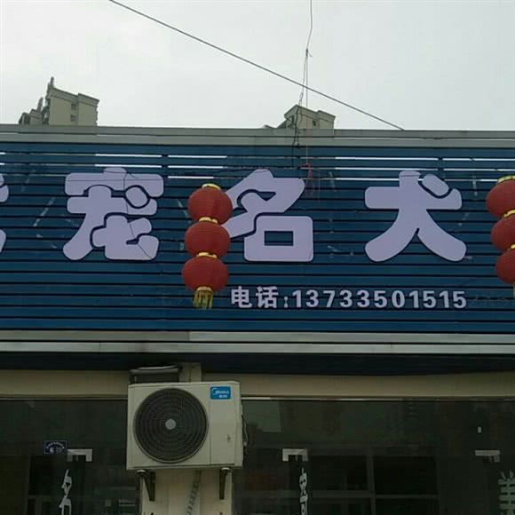 优宠名犬:孝感市孝南区