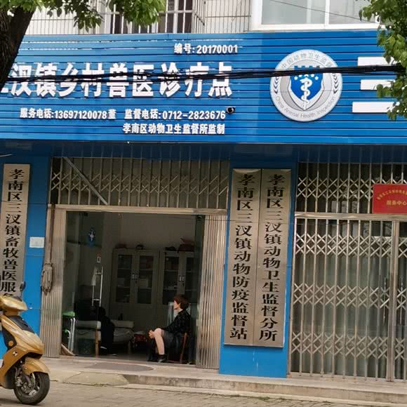 三汊镇乡村兽医诊疗点:孝感市孝南区
