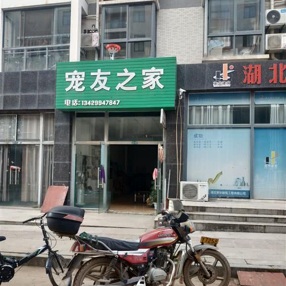 宠友之家:孝感市孝昌县