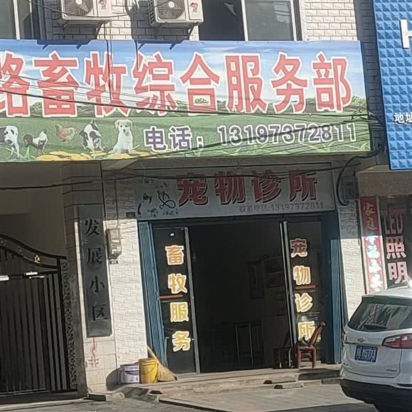 宠物诊所:孝感市孝昌县