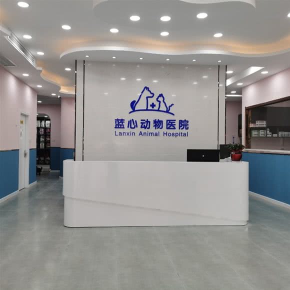 云梦蓝心动物医院:孝感市云梦县