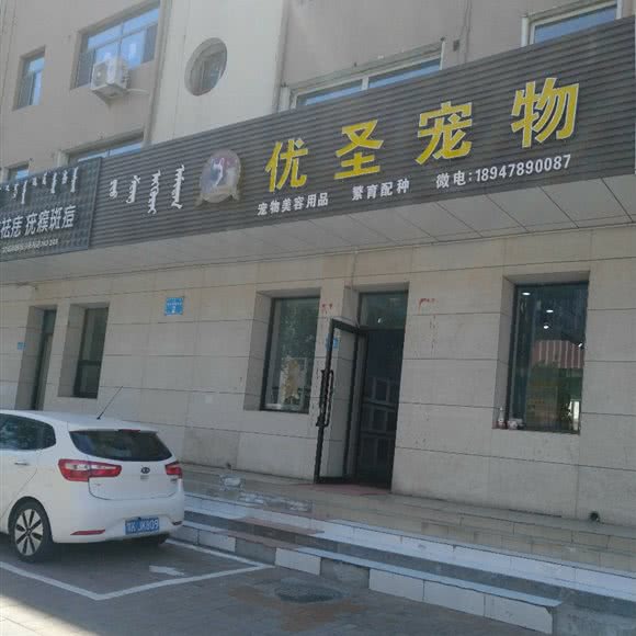 优圣宠物:鄂尔多斯市东胜区华宇名门附近