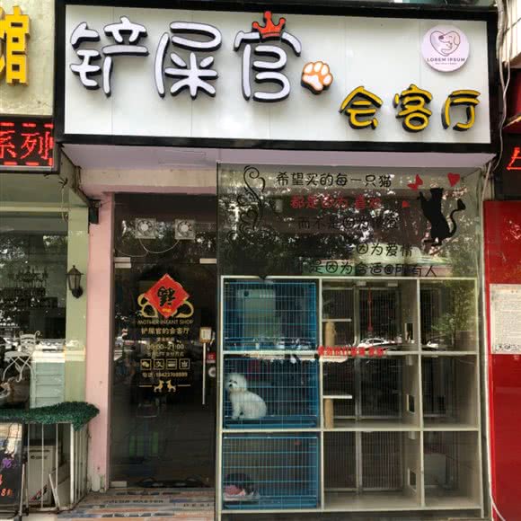 铲屎官的会客厅:孝感市应城市