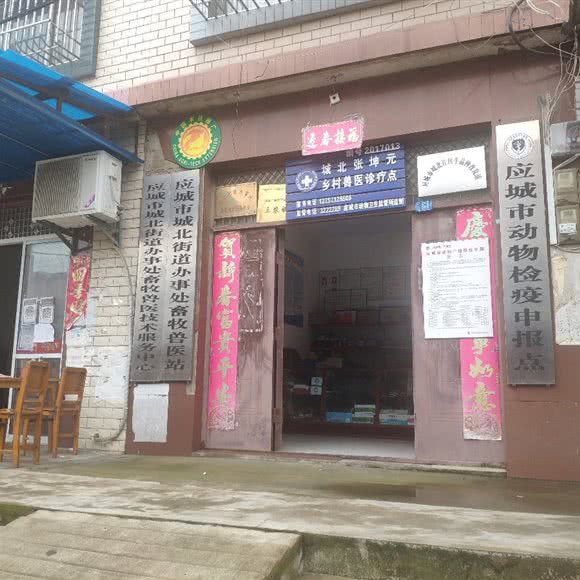 城北街道办事处畜牧兽医站:孝感市应城市