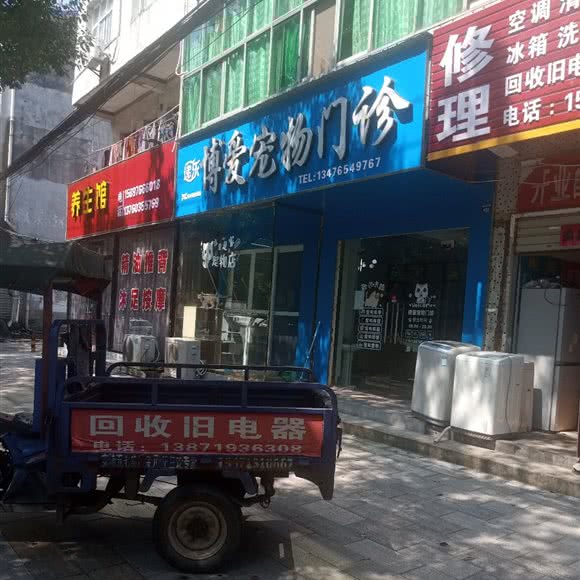 博爱宠物门诊:孝感市安陆市