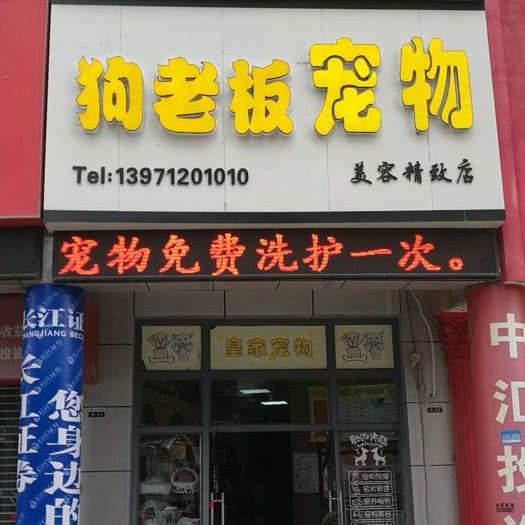 狗老板宠物:孝感市汉川市