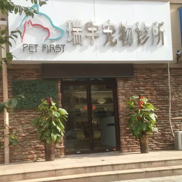 瑞宇宠物诊所:荆州市荆州区