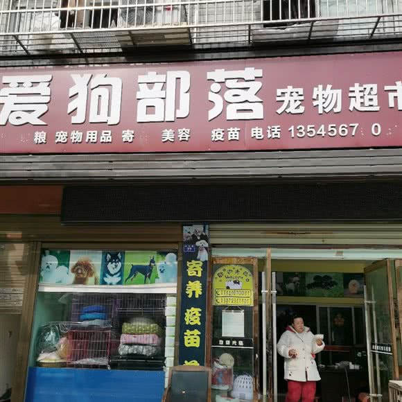 爱狗部落:荆州市江陵县