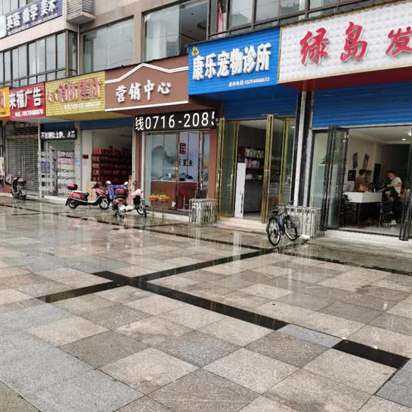 康乐宠物诊所:荆州市洪湖市
