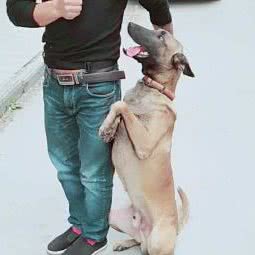 小淘气宠物乐园:黄冈市黄梅县