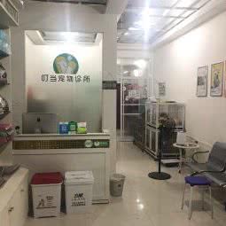 叮当宠物诊所:黄冈市黄梅县